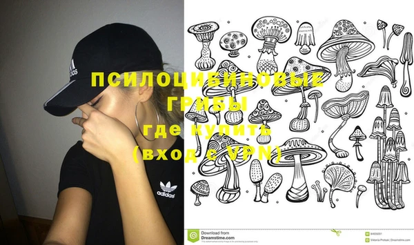 2c-b Михайлов