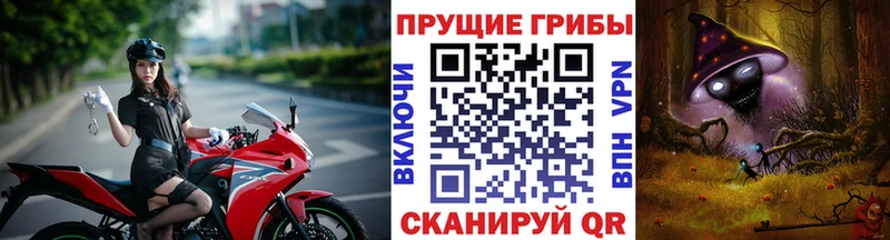 как найти наркотики  Очёр  Галлюциногенные грибы Psilocybe 
